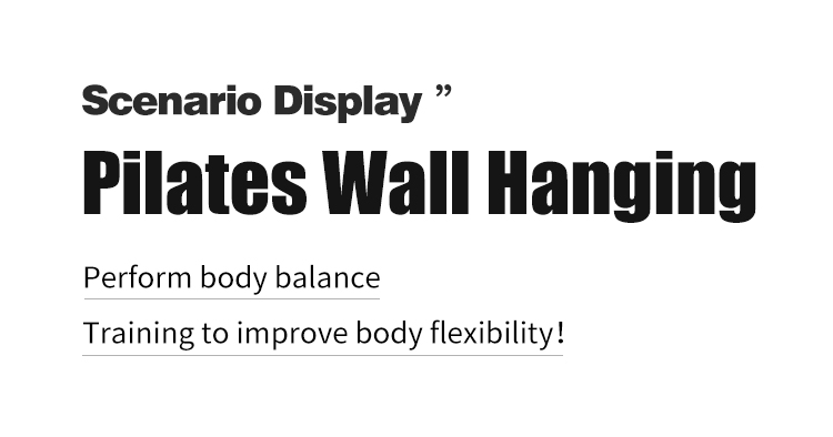 Pilates Wall Mounted Reformer Pilates