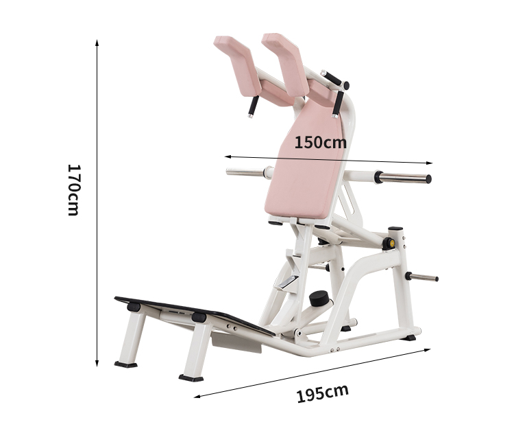 Shaping Strength Equipment Hack Squat