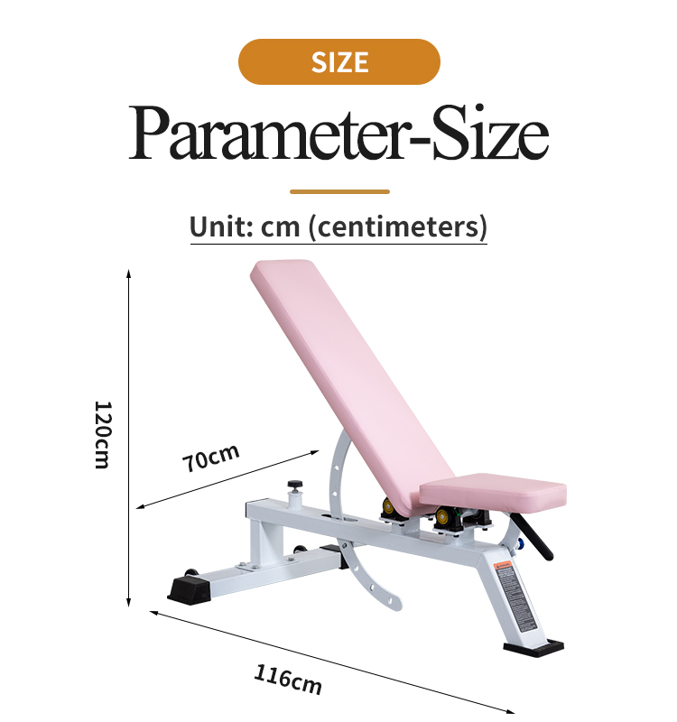 Shaping Strength Equipment Adjustable Dumbbell Bench